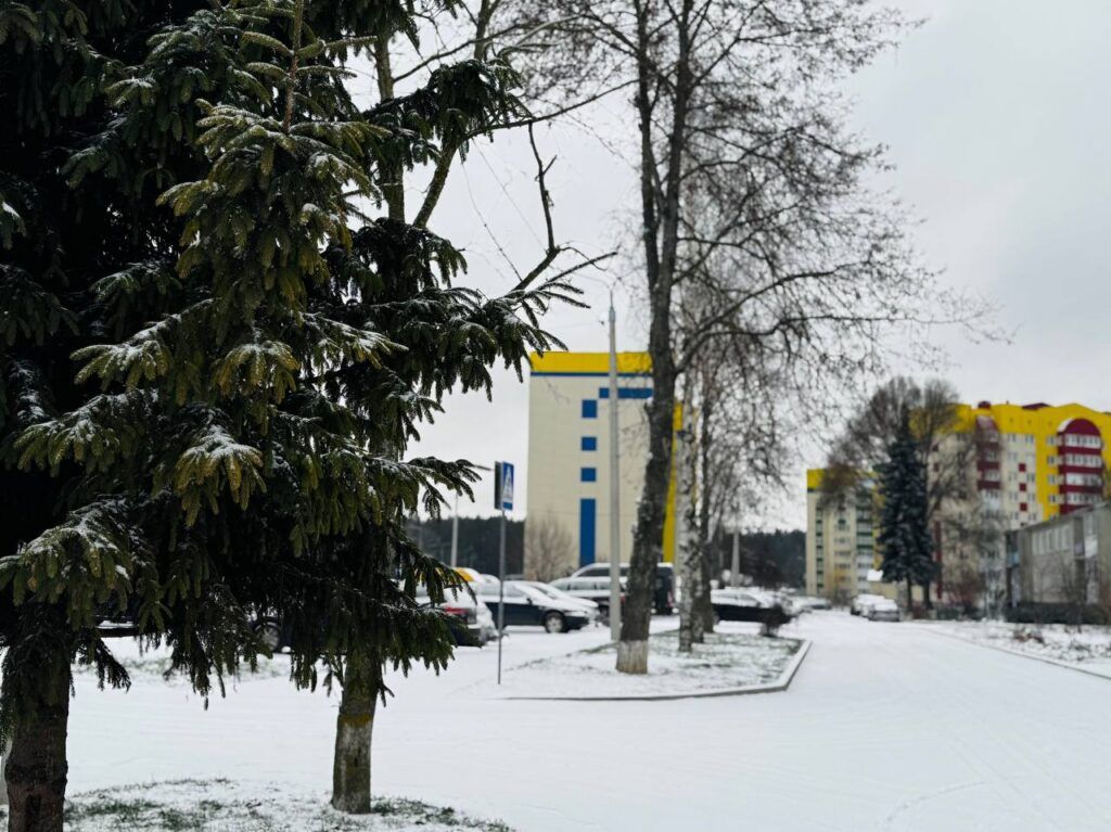 Погода в Беларуси на 15 декабря: мокрый снег и гололед