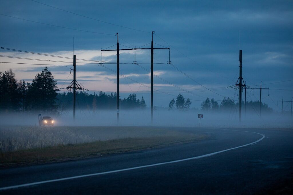 Зима откладывается. В Беларуси до вторника сохранится теплая и дождливая погода