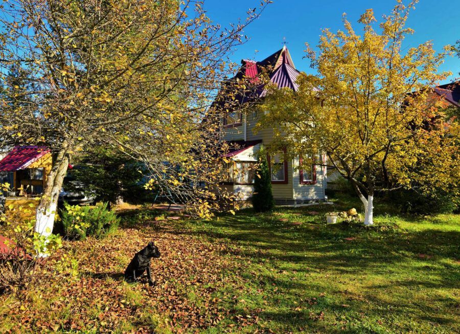 В Беларуси вводятся новые правила аренды земельных участков