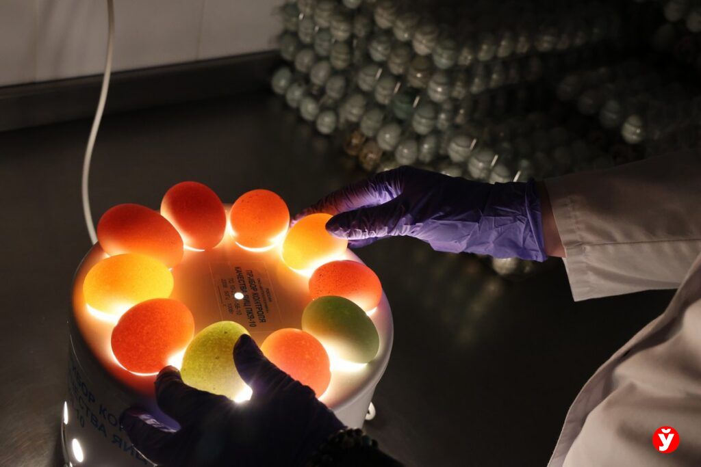 Проверка на мифы: что на самом деле продают на рынках «Валерьяново» и «Новый Лебяжий»