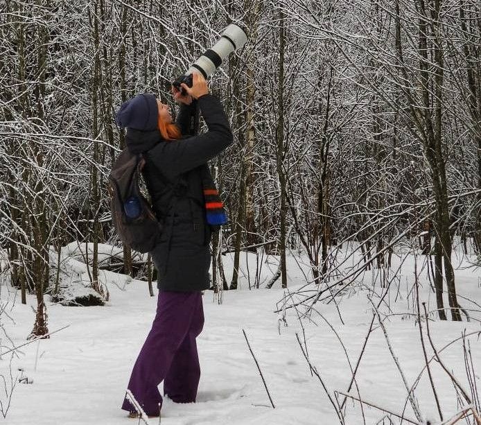 Как фотограф из Лесного ловит в кадр диких птиц у себя во дворе