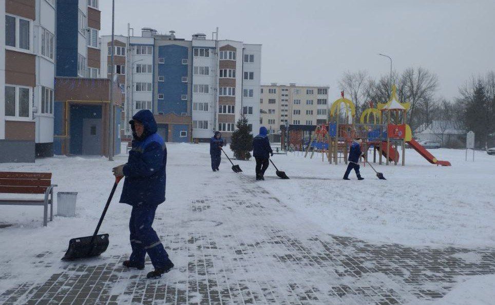 В Минской области готовятся к мощному циклону «Улли»
