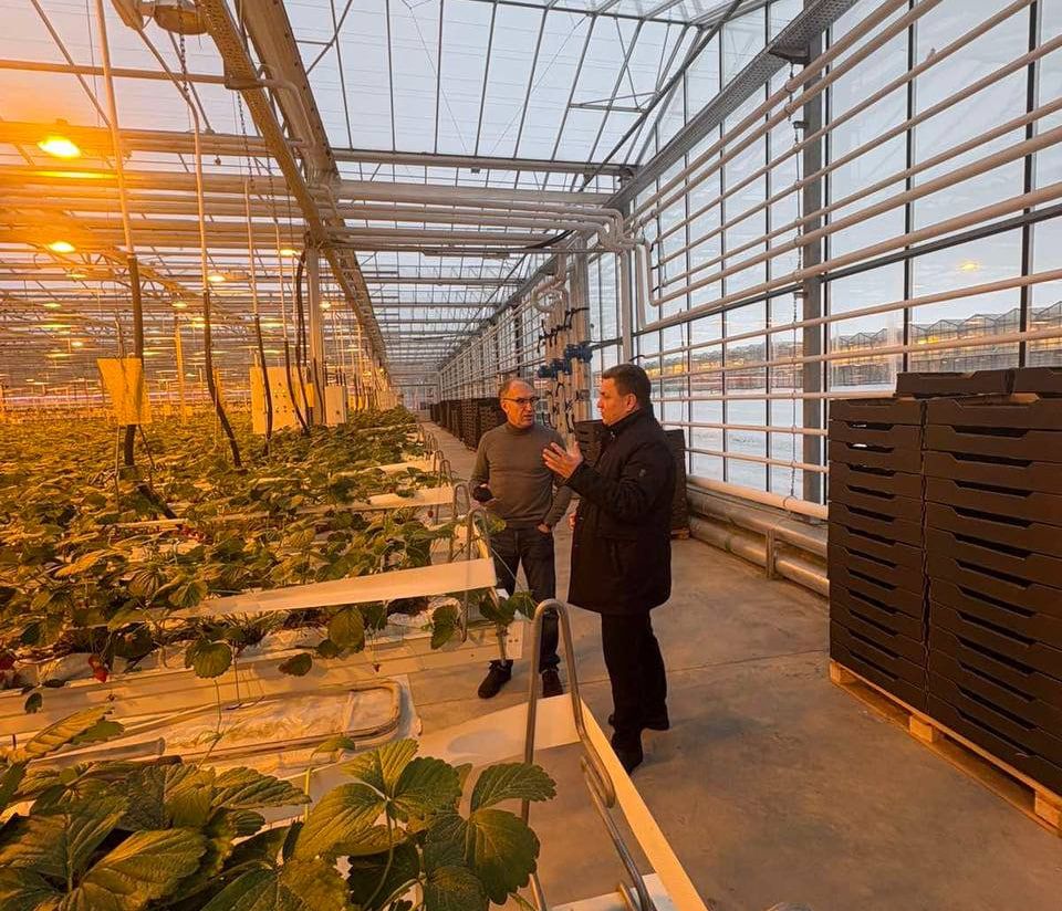 Денис Колесень посетил Тепличное хозяйство ОАО «ДОРОРС»