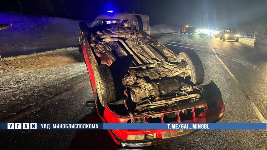 Под Минском автомобиль перевернулся после наезда на лося