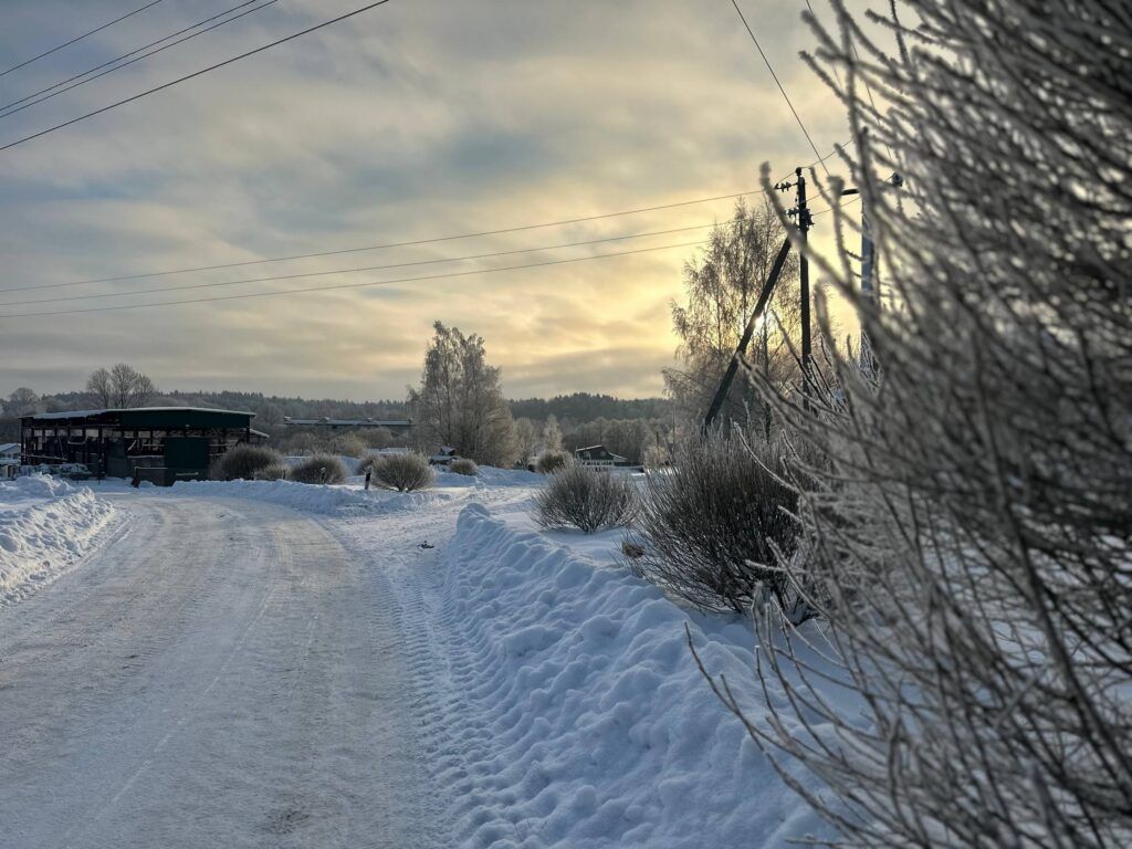 На выходных в Беларуси ожидаются аномальные морозы — на сколько упадет температура?