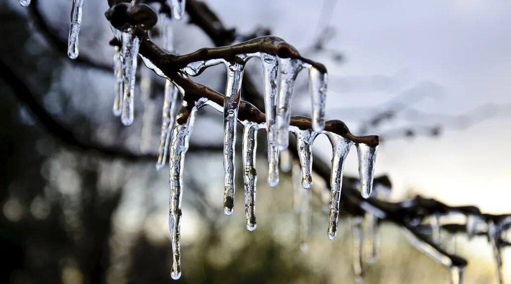 Синоптики пообещали резкое потепление в Беларуси