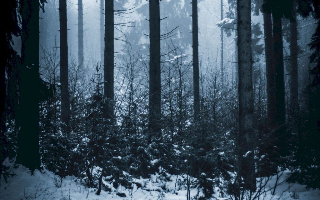 Женщина с ребенком потерялись в лесу возле Хатежино