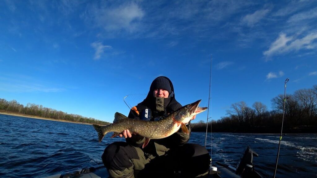 С 1 марта — запрет на ловлю щуки в Минской области: что нужно знать, чтобы не получить штраф