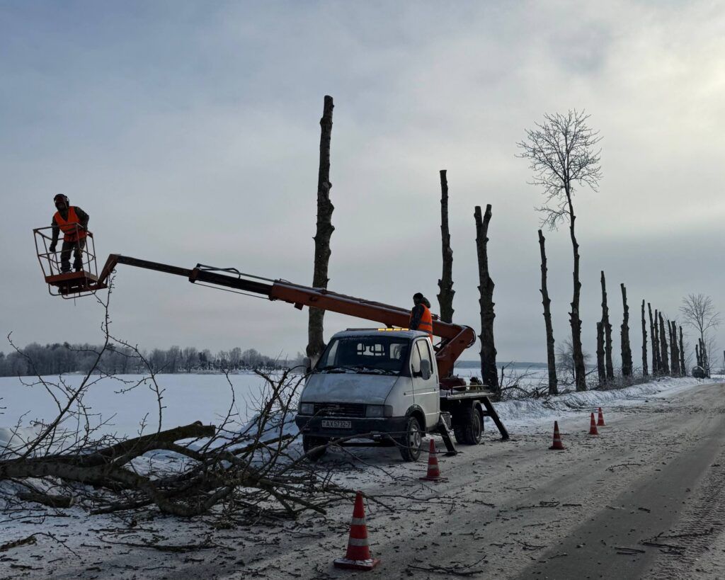 Обрезают аварийные деревья на въезде в Атолино