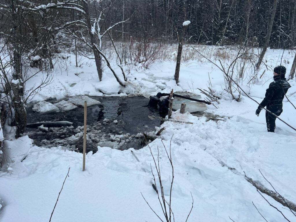 На берегу реки Поплав найдено тело: поиски велись более трех часов