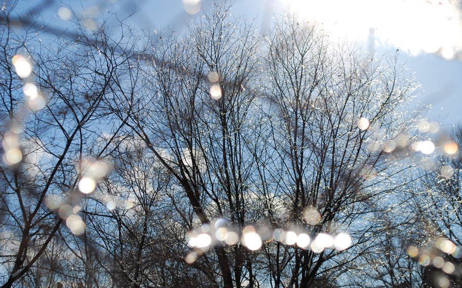 Рябов спрогнозировал аномальное потепление на следующей неделе