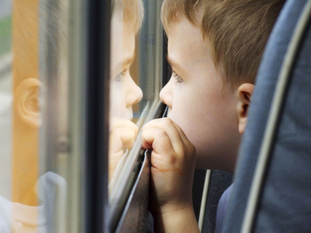 Кто прав в скандале с маршруткой из Новой Боровой: мать с ребенком или водитель? Разбираем видео