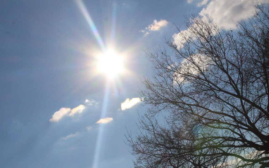 Погода на выходных в Беларуси порадует потеплением