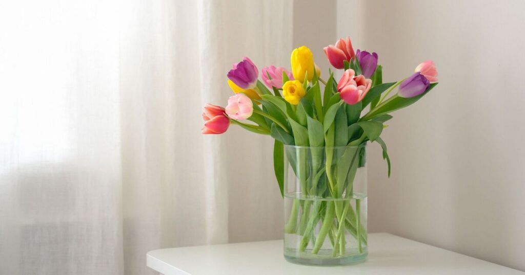Продлить жизни тюльпанов и роз: что делать, чтобы они долго стояли