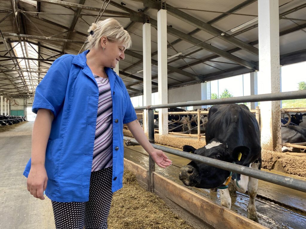 Аграрный лидер района: комплексный обзор успеха ОАО «Гастелловское» за 2025 год