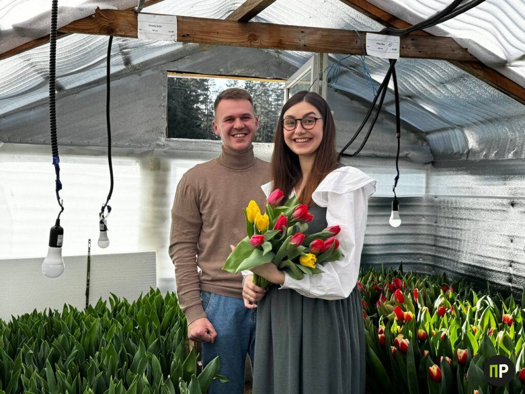 Супруги из Лесковки переоборудовали теплицу и вырастили в ней 3000 тюльпанов
