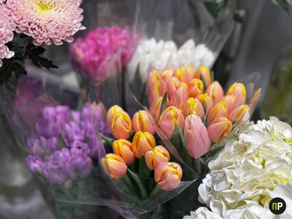Сколько стоят тюльпаны и другие цветы в магазинах Заславля и Лесного — обзор цен