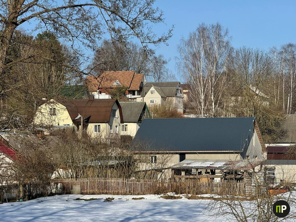 В деревне возле Минска под картошкой нашли клад с монетами Речи Посполитой