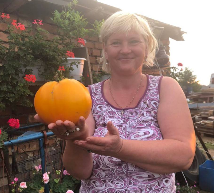 Как огородница из Боровцов выбирает идеальные сорта и ухаживает за рассадой