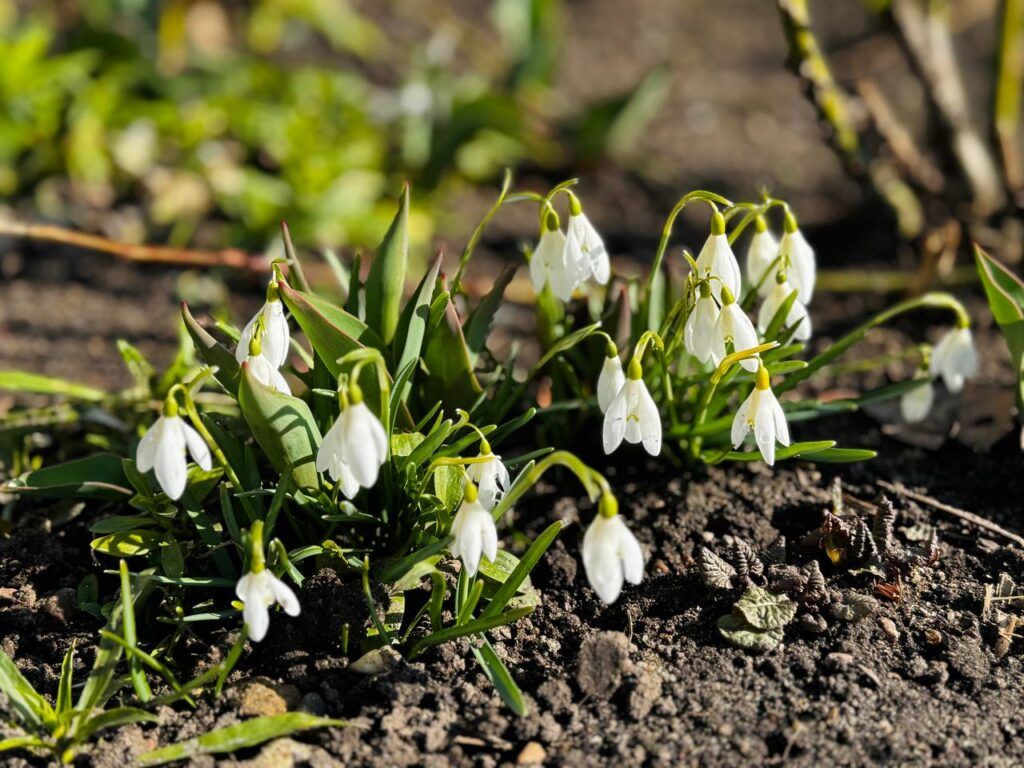 Рябов рассказал, какую погоду ждать в конце марта