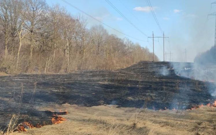 В Минском районе зафиксировали пал сухой травы — сколько придется заплатить виновному