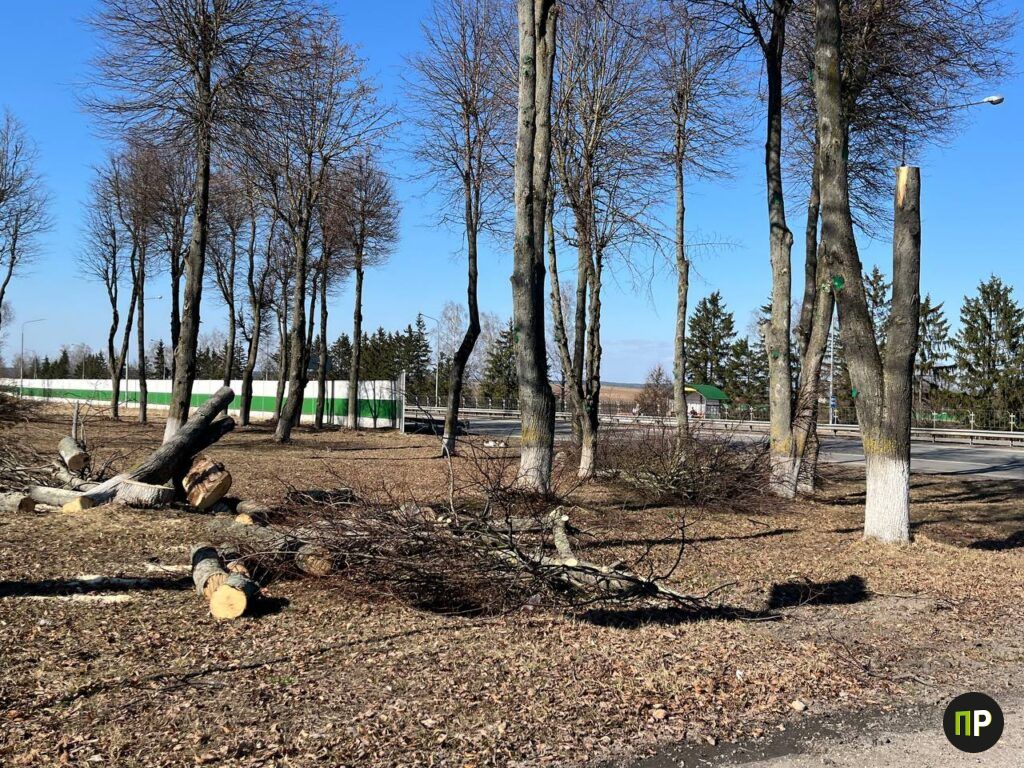 В Луговой Слободе удаляют аварийные деревья