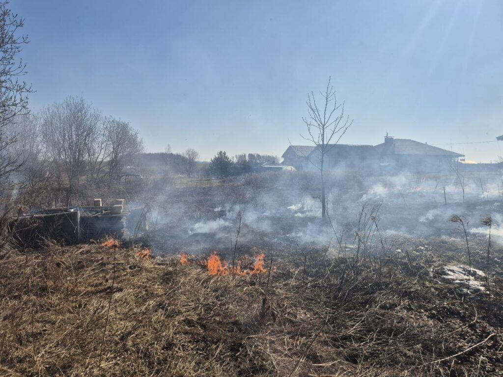 В Минском районе произошло 26 палов сухой травы за неделю. Нарушителей ждут штрафы