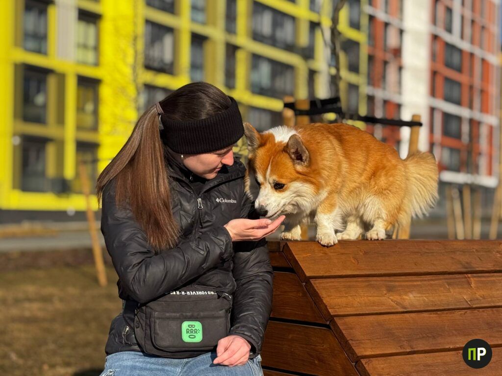 Советы кинолога: готовим вкусные и полезные лакомства для собак