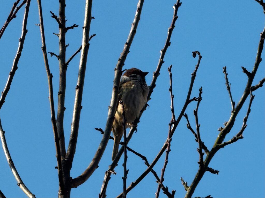 Сухо и тепло: какая погода ждет белорусов 29 марта