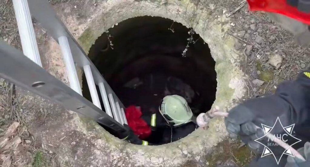 В Минском районе спасли упавшую в колодец собаку