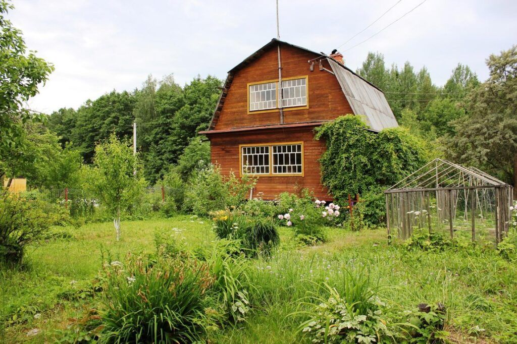 Некоторым дачникам утвердили особый тариф на электричество: кто попадает под условия