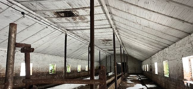 Под Минском продают телятник с бетонной площадкой за 711 тысяч рублей