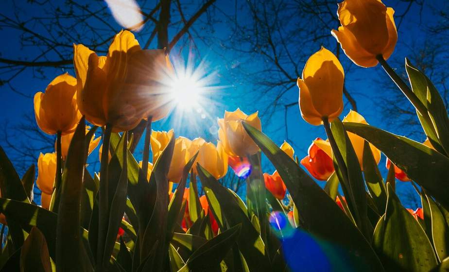 Потепление до +20 приходит в Беларусь — прогноз от Рябова