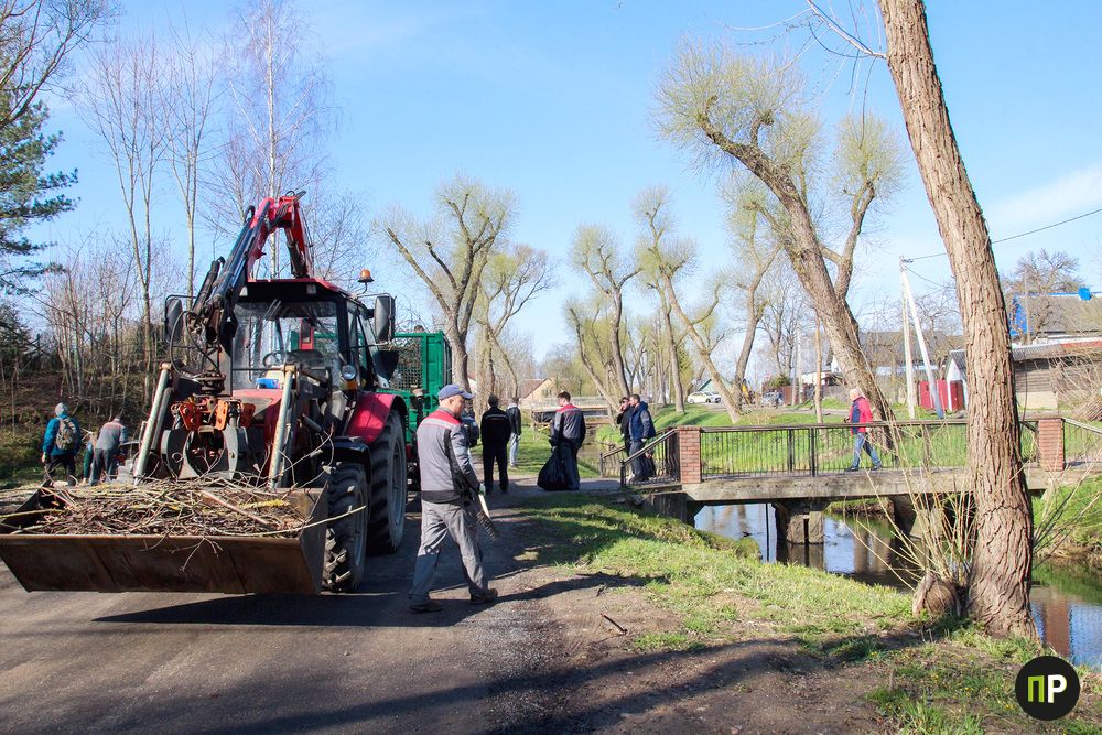 13 тысяч деревьев на месте бурелома и порядок в заброшенном лагере: как Минский район встретил субботник