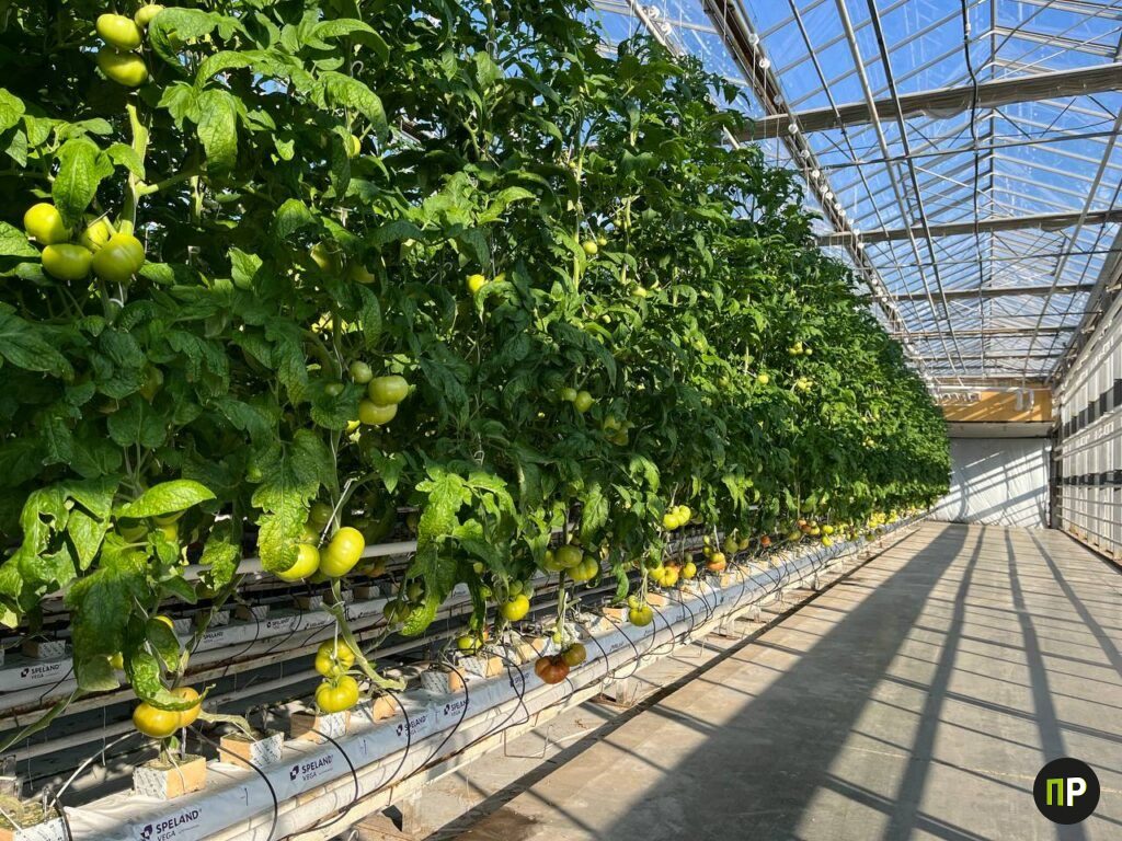 Кто стоит за успехом «Агрокомбината «Ждановичи»