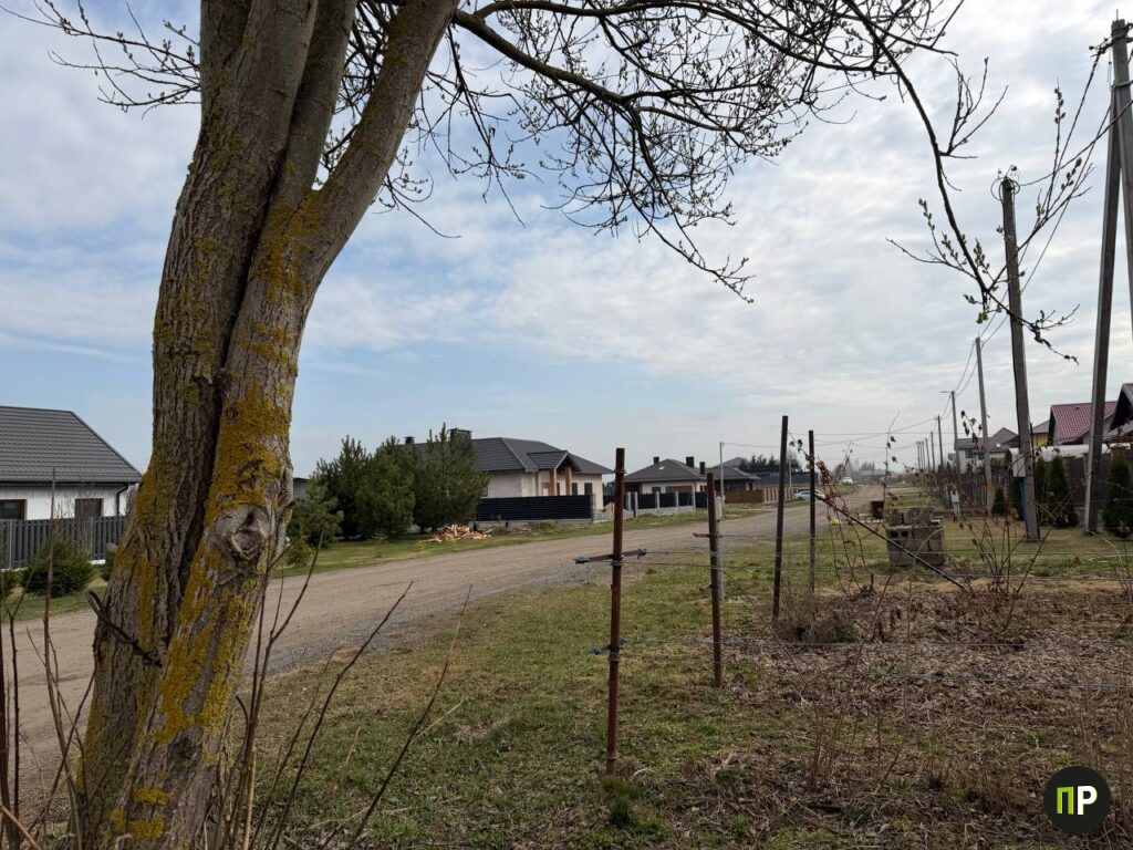 Житель деревни под Минском пожаловался на дороги в TikTok. Что ответили специалисты