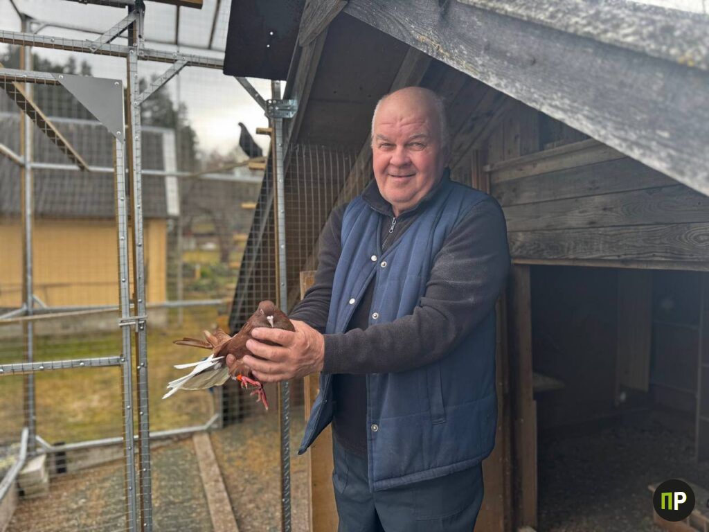 Житель Скуратов построил голубятню на крыше собственного гаража