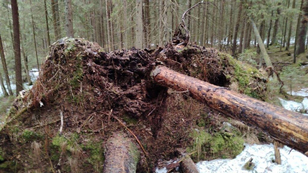 В деревне под Минском нашли минометные мины времен войны