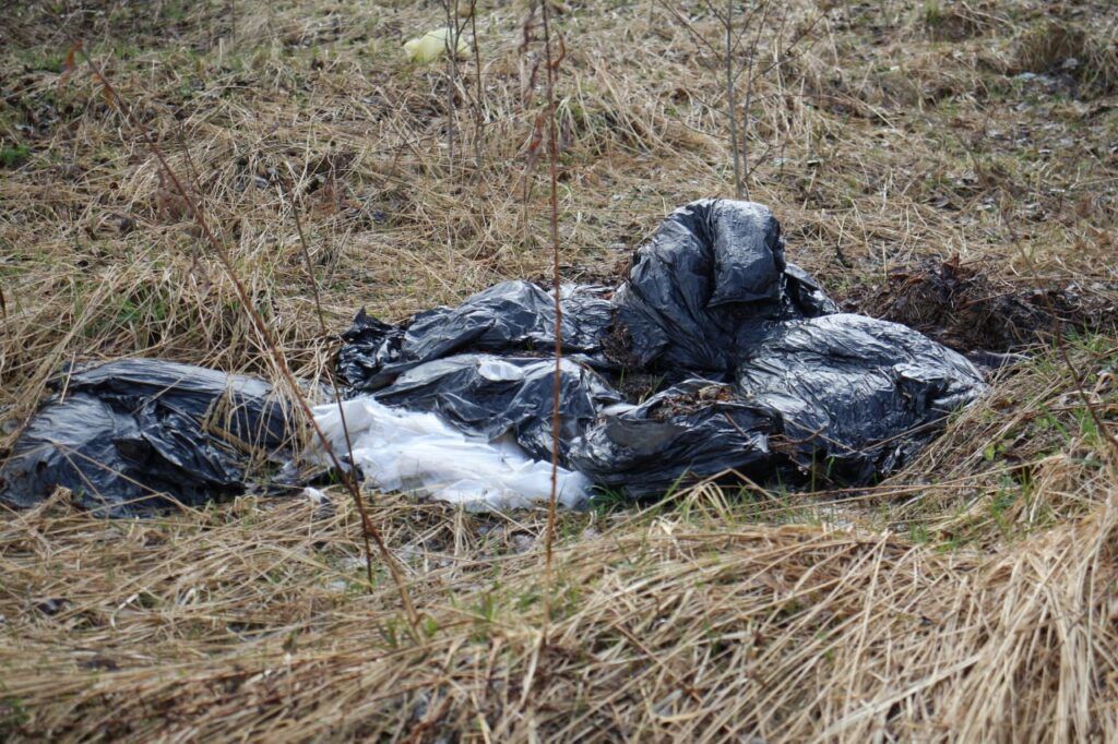 В Заславле снова устроили свалку – на этот раз в лесополосе