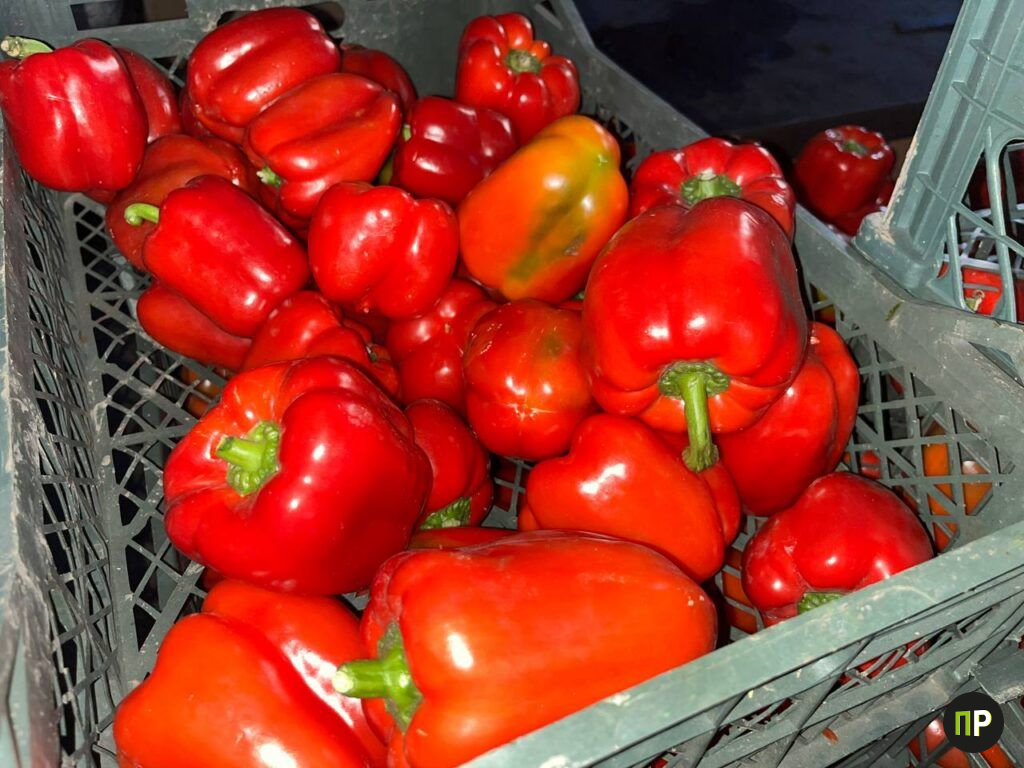 Нашли под Минском место, где овощи и фрукты продают в 2-3 раза дешевле магазинных