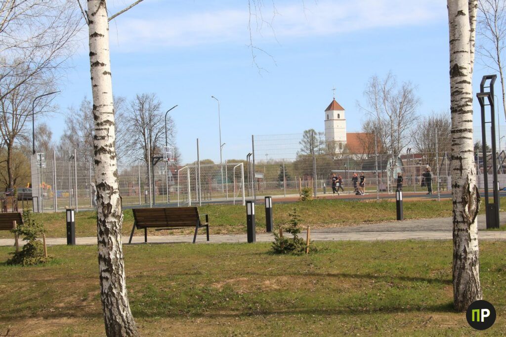 В Молодежном парке Заславля высадили водяные лилии