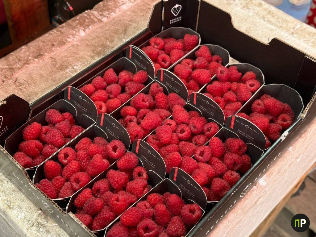 В продаже под Минском появилась малина за 300 рублей