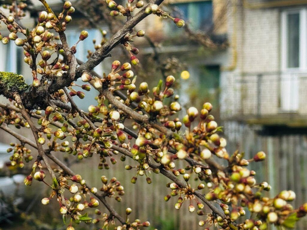 Снег, туманы и резкие перепады температуры: прогноз Рябова на неделю с 20 по 26 апреля