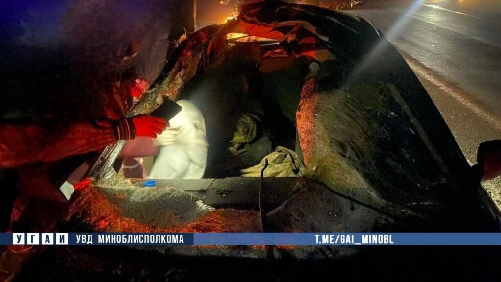 В Минском районе иномарка сбила лося: пассажир в реанимации