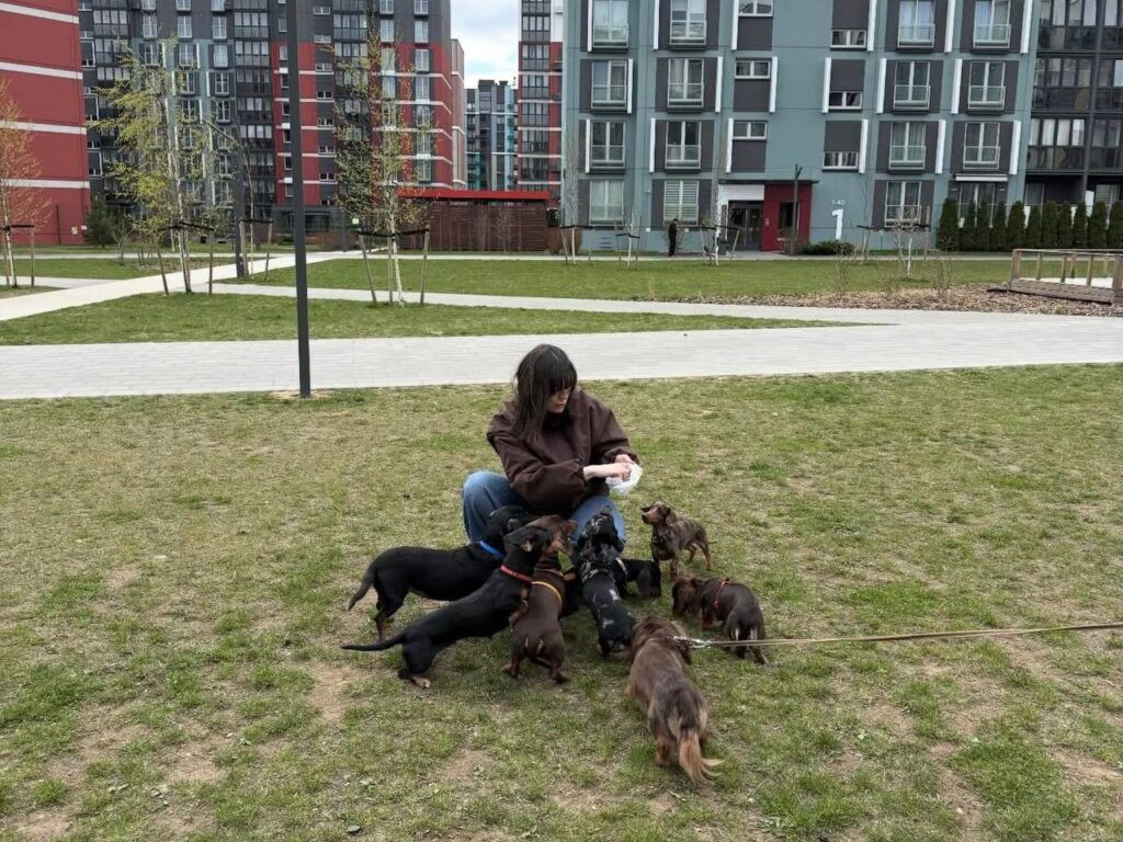 В Новой Боровой владельцы собак одинаковых пород стали устраивать сходки