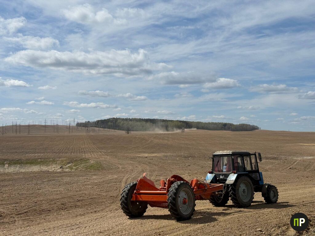Узнали промежуточные итоги посевной кампании в Минском районе