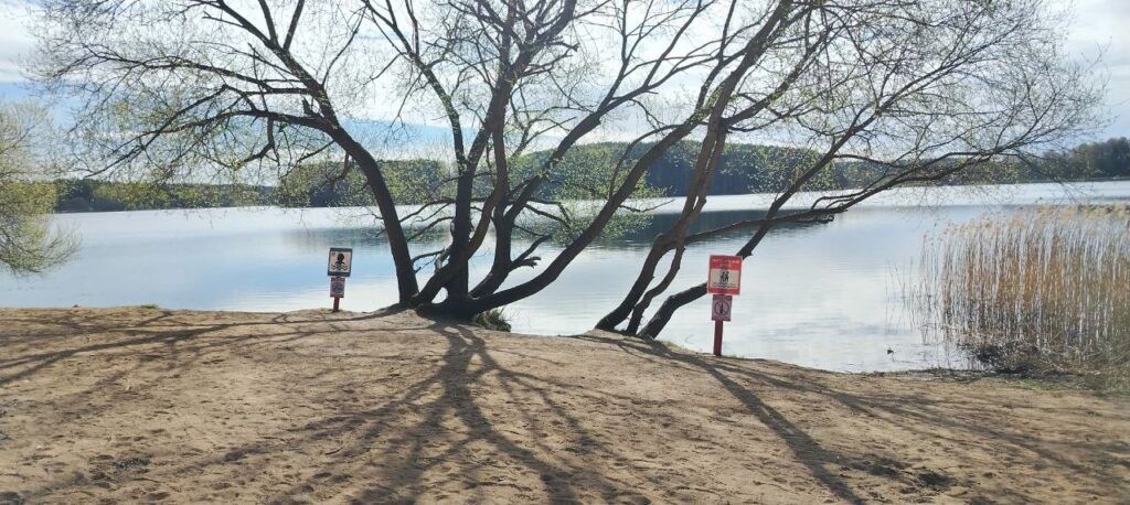 На водохранилище Вяча привели пляжи в порядок