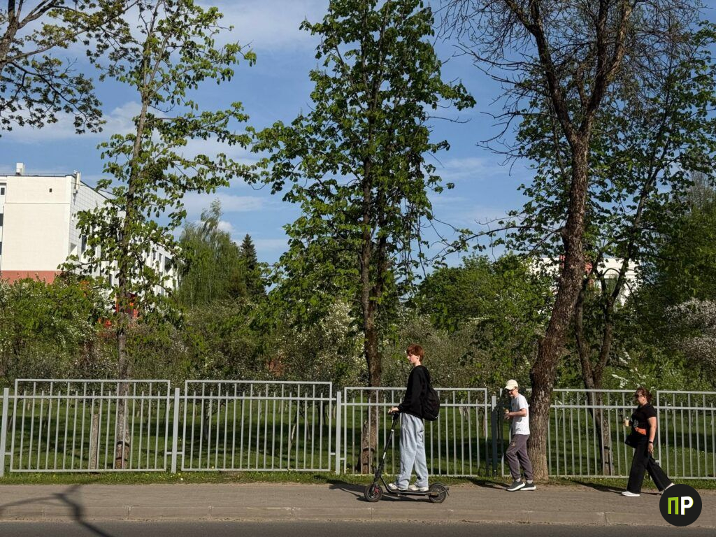 Пробная перепись населения в Беларуси запланирована на октябрь 2027 года