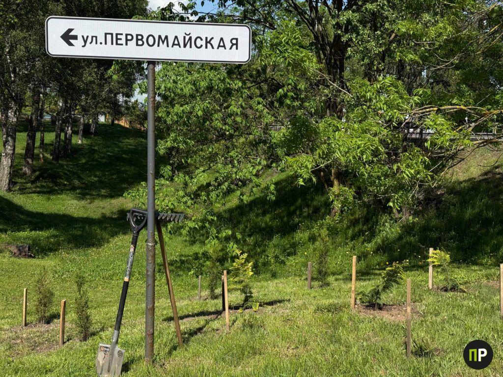 Узнали, как в Минском районе меняют подход к озеленению, на примере Острошицкого Городка