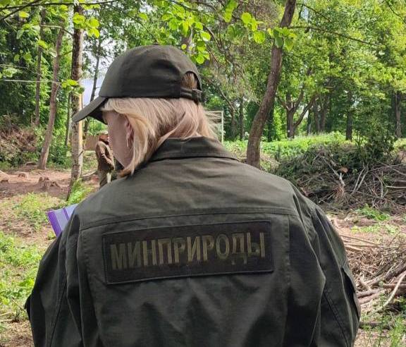 15 трупов и сломанное крыло: как в Минском районе погубили колонию серых цапель